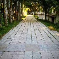 مهندس برق یا مکانیک