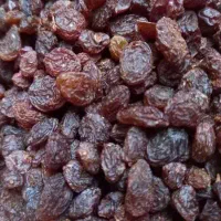 فروش شیره انگور و کشمش پلویی