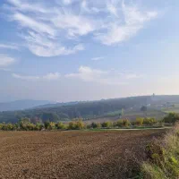 زمین ۱۰۰۰متری دوتا پلاک ویو ۳۶۰درجه|فروش زمین و ملک کلنگی|نکا, |دیوار