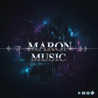 همکاری در زمینه تنظیم موسیقی و میکس و مسترینگ