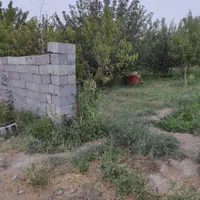 باغچه ۱۰۰۰متربادیوارکشی جاده طلاتپه چمکی|فروش زمین و ملک کلنگی|ارومیه, |دیوار