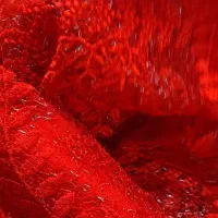 لباس کوردی|لباس|بوکان, |دیوار