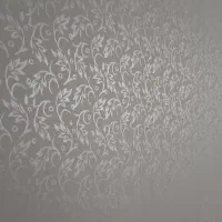 نقاشی و رنگ آمیزی ساختمان|خدمات پیشه و مهارت|کیش, |دیوار