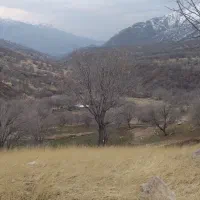 کشاورزی شراکت