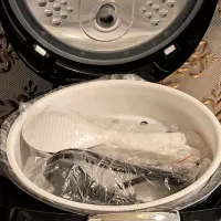 پلوپزدیجیتال لمسی یلی کن خارجی شیک وجدید۱۶ کاره|اجاق گاز و لوازم برقی پختوپز|گلبهار, شهر جدید گلبهار|دیوار