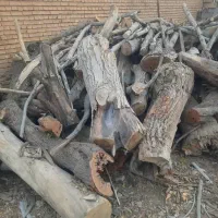 چوب خشک زغالی|خدمات باغبانی و درختکاری|خانمیرزا, |دیوار