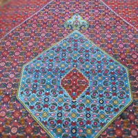 فرش|فرش|زنجان, |دیوار