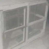 گنجه کفتری یا مرغ