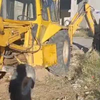 ببل بکهو  سالم و سر حال کم کارکرد تک دیفرانسیل|خودرو سنگین|بازرگان, |دیوار