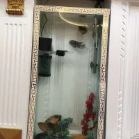 فروش اکواریوم