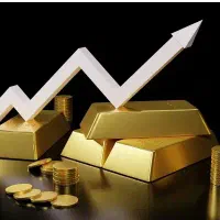 مشاوره و راهنمایی در بازار های مالی کریپتو و فارکس