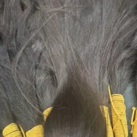 خریدار موهای خام و رنگی شما