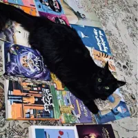 واگذاری شدو 5 ماهه