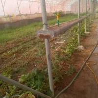 گلخانه دارای پروانه بهره برداری|فروش زمین و ملک کلنگی|ارومیه, |دیوار