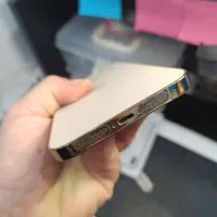 آیفون ۱۲ پرومکس طلایی|موبایل|آستارا, |دیوار