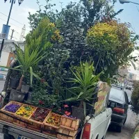 خدمات باغبانی باغچه کاری کاشت گل وگیاه باغبان سیار|خدمات باغبانی و درختکاری|تهران, قیطریه|دیوار