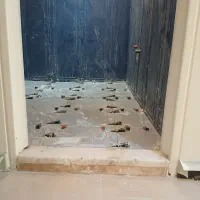 رفع نم تشخیص ترکیدگی لوله بازکنی لوله کشی|خدمات پیشه و مهارت|تهران, فدک|دیوار