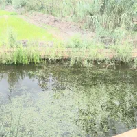 ویلاهای سوئسی لمس آرامش اروپا|فروش خانه و ویلا|بهار, |دیوار