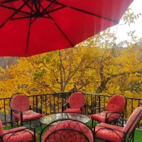 باغ-و-کلبه-سوئیسی