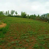 فروش یه قطعه زمین مناسب برای  ساخت ویلا