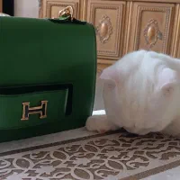 کیف دوشی زنانه