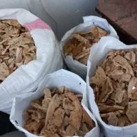 نون خشک تمیز بدون کپک و آشغال تمیز