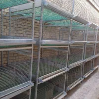 قفس پروش بلدرچین