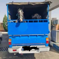 اسبکش|اسب و تجهیزات اسب‌سواری|کرمانشاه, |دیوار