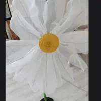 دکور آتلیه|صنایع دستی و سایر لوازم تزئینی|تهران, شهرک ولیعصر شمالی|دیوار