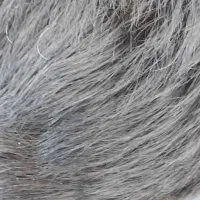 موکت ۹ متری