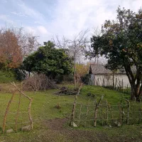 زمین-220-متری-مسکونی-در-روستای-لیش-سیاهکل