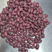 فروش لوبیا قرمز وچیتی|خوردنی و آشامیدنی|تهران, مختاری|دیوار