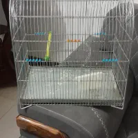 قفس کاملا سالم و نو|پرنده|کاشان, فاز ۱ ناجی آباد|دیوار