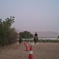 دوره آموزش سوارکاری اصولی از مبتدی تا پیشرفته|خدمات آموزشی|سنندج, |دیوار