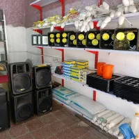 تشریفات و ظروف کرایه ایی پویا