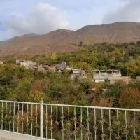 عینک دودی پیدا شده(شکرآب بوژان)