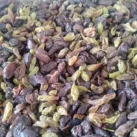 پخش انواع کشمش افتابی و شیره انگور|خوردنی و آشامیدنی|بومهن, |دیوار