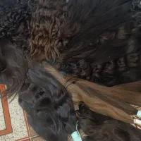 مو بور
