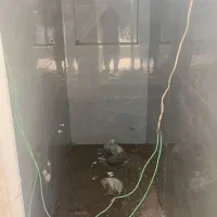 استا بنا ماهر