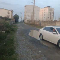 بسترن بی پنجاه