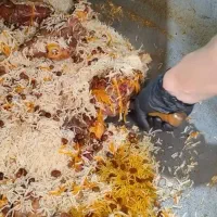 کترینگ / بیرون بر/ رستوران/ انبار مواد غذایی