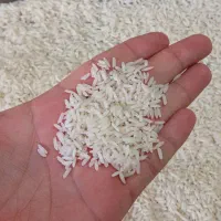 برنج هاشمی درجه ۱