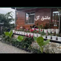 فروشی دوواحد زیر قیمـت|فروش خانه و ویلا|لیسار, |دیوار