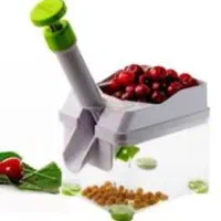 هسته گیر آلبالو