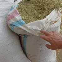 خارشتر