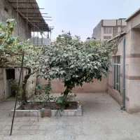 ۱۷۰متر/ کلنگی / المهدی|فروش زمین و ملک کلنگی|تربت جام, المهدی|دیوار