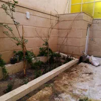 چوب بری کاشت باغچه حرس درخت|خدمات باغبانی و درختکاری|قم, زنبیل آباد|دیوار