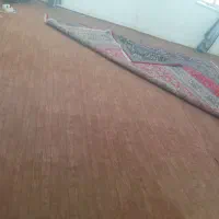 موکت|موکت|رامشیر, |دیوار