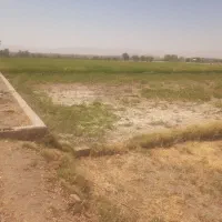 زمین کشاورزی سرداری بر جاده (صحرای لورکی)|فروش زمین و ملک کلنگی|لنجان, |دیوار