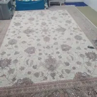 فرش ۱۲متری در هد نو